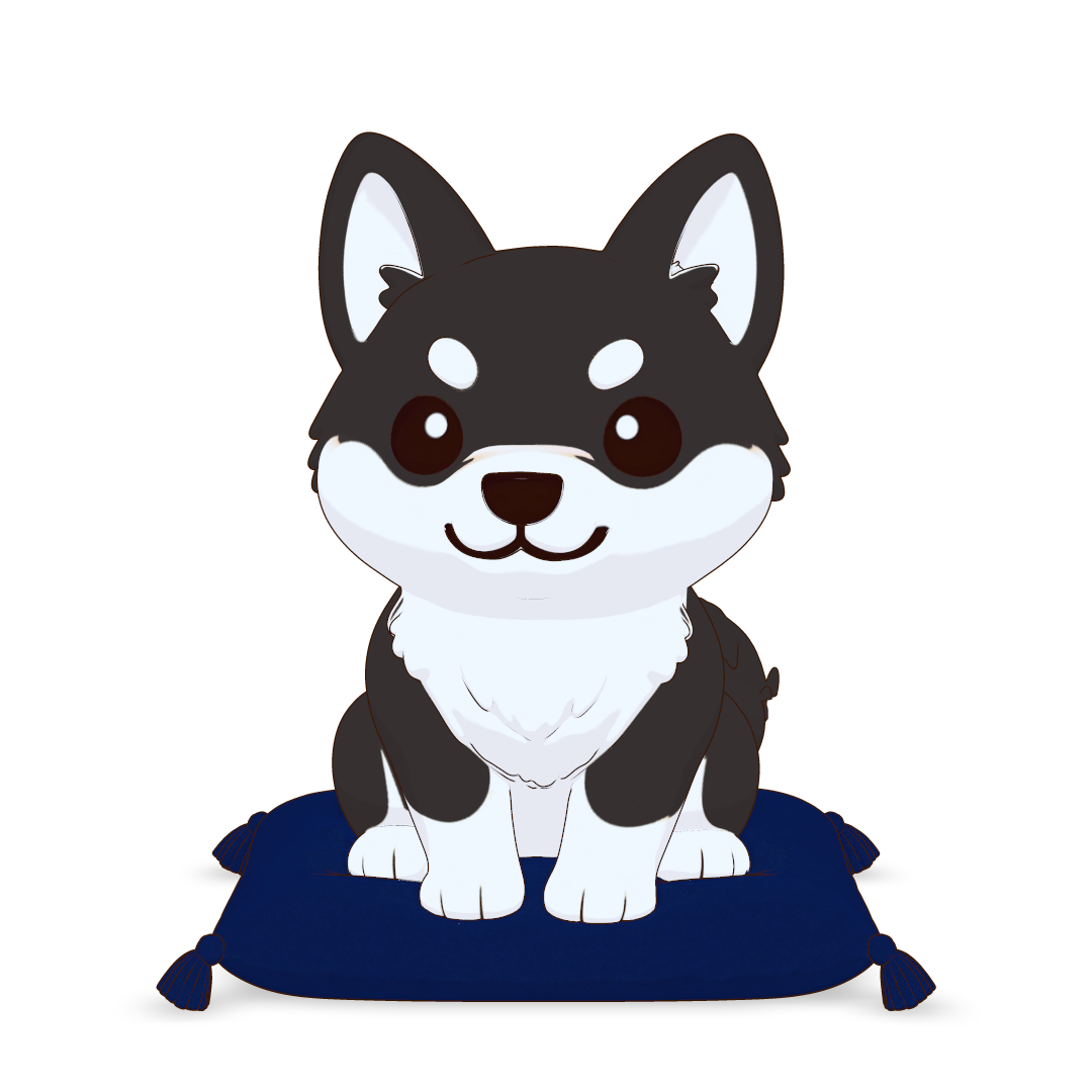 黒柴。こむぎの色ちがいの柴犬